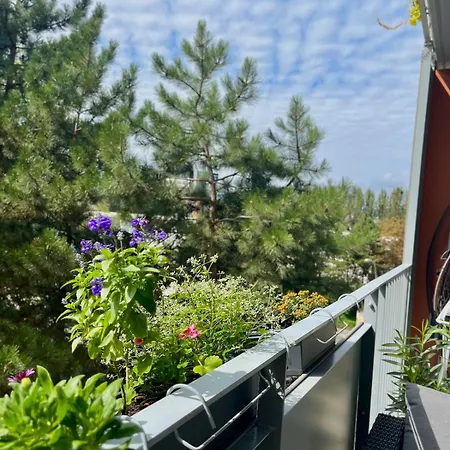 Nuppu Comfort * 布拉迪斯拉发