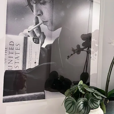 Nuppu Comfort 布拉迪斯拉发