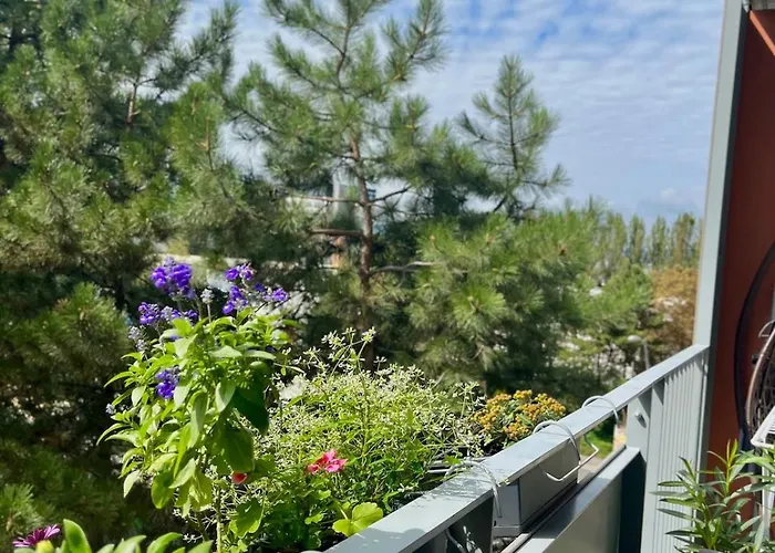 Nuppu Comfort * 布拉迪斯拉发