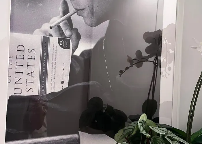 Nuppu Comfort Pressburg